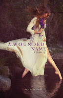 book cover of A Wounded Name by Dot Hutchison