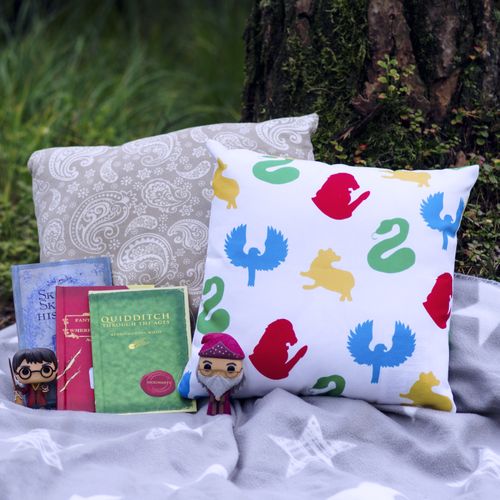 Hogwarts pillow